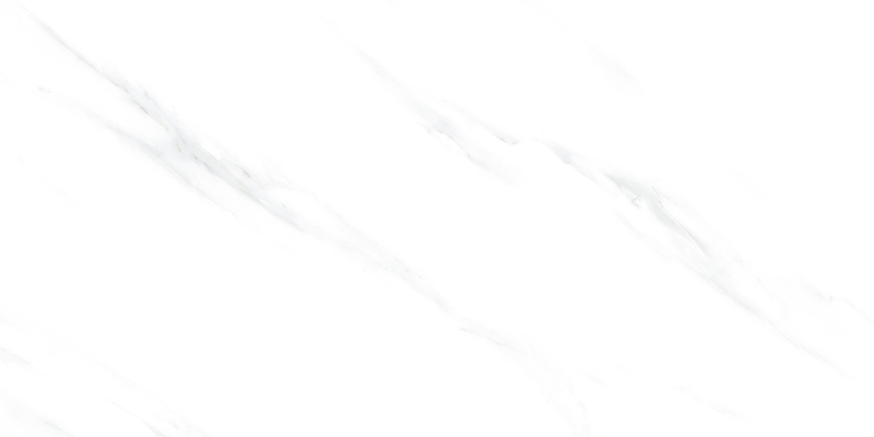 SW48D01