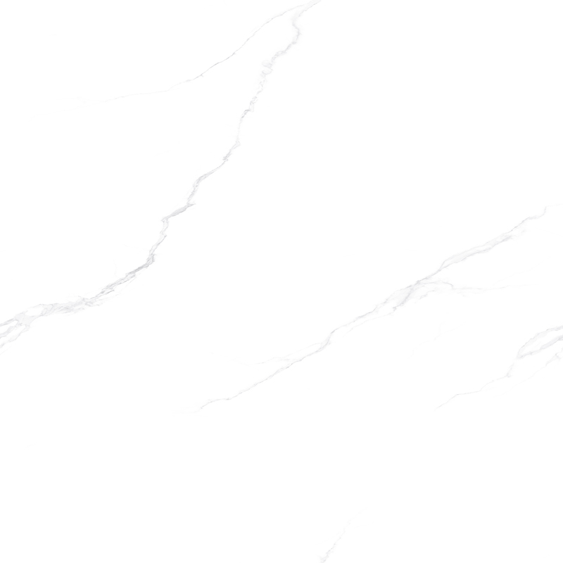 SW87D001