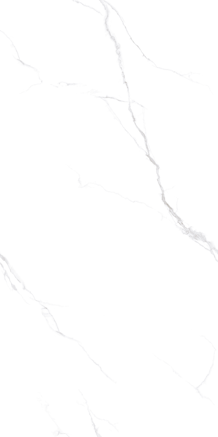 SWL75D013