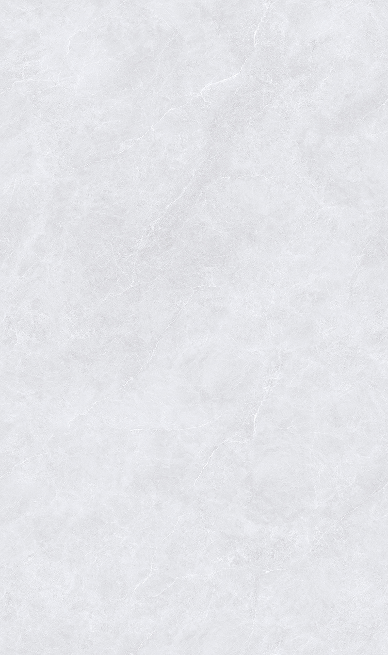 SW8135D1006