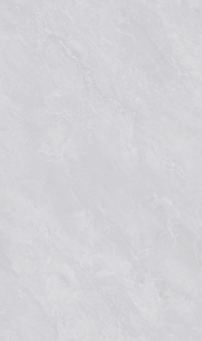 SW8135D1007