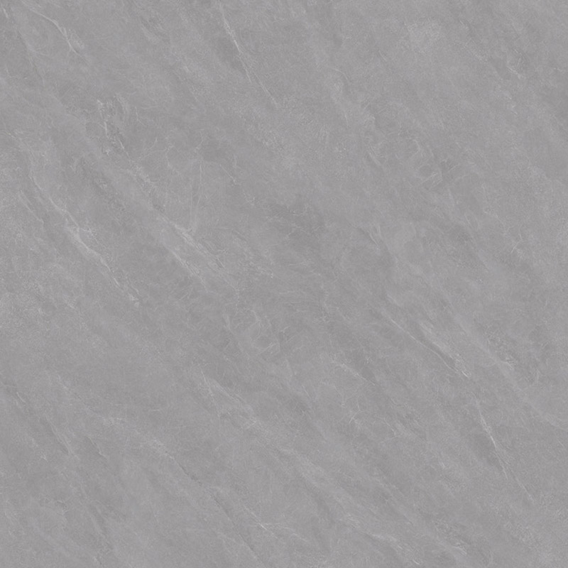 SW89D011