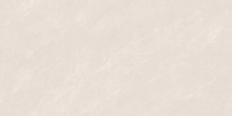 SW48D1012